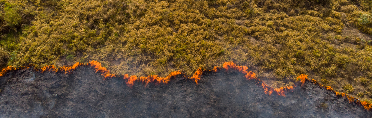 Recognizing Clinical Presentations of Anxiety and Grief in the Context of Climate Change